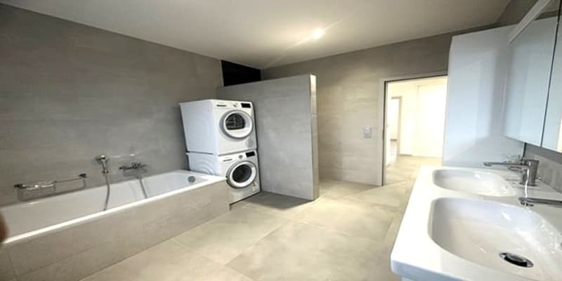 modern bathroom with bathtub, washing machine, double sink, and shower