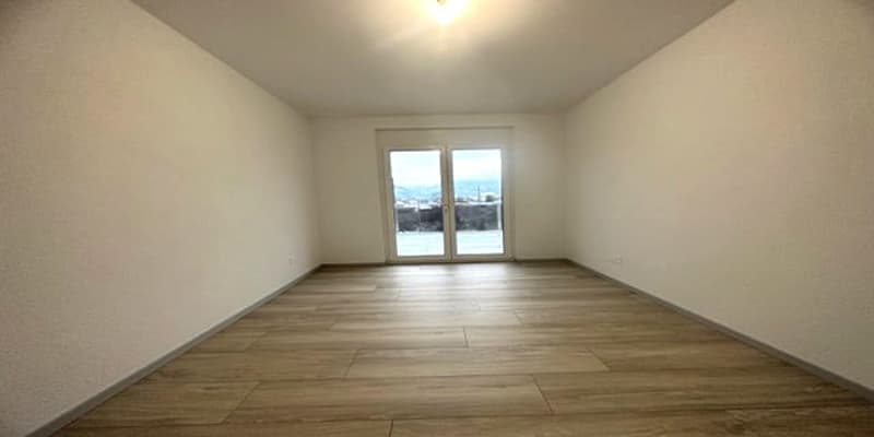 Large empty room with sliding door and large windows, wooden flooring