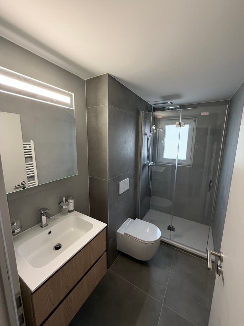 Magnificent 4.5-room apartment renovated in Sonceboz-Sombeval (2)
