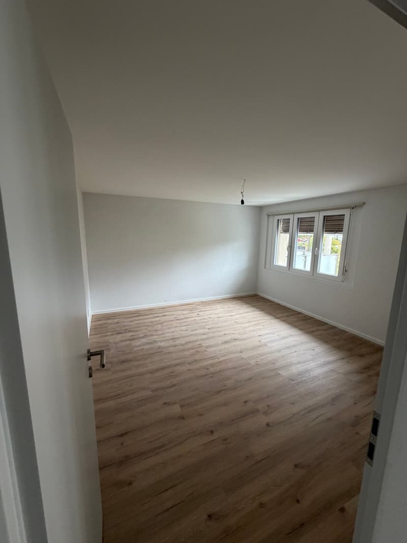 Magnificent 4.5-room apartment renovated in Sonceboz-Sombeval (7)
