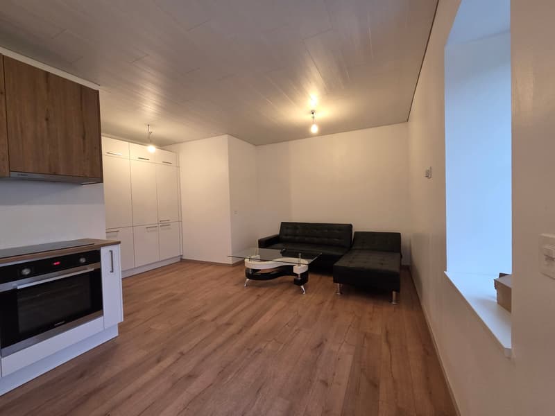 Moderne renoviertes Studio in Haute-Sorne – sofort verfügbar (2)