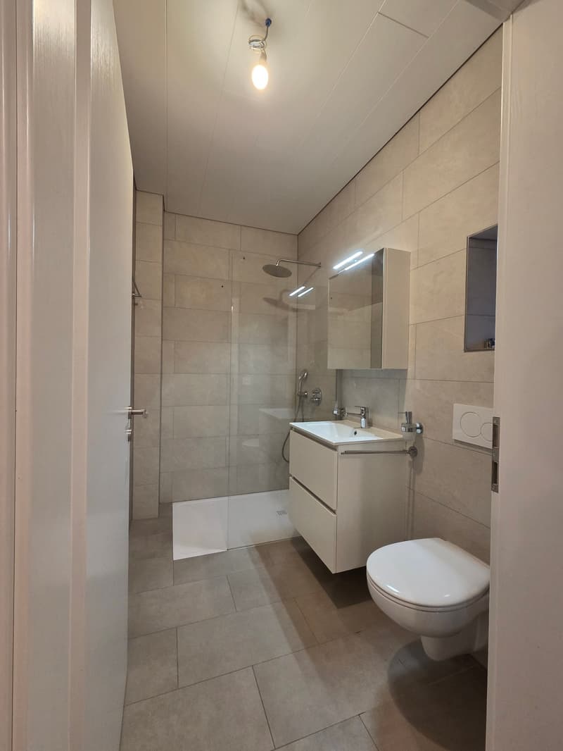 Moderne renoviertes Studio in Haute-Sorne – sofort verfügbar (4)