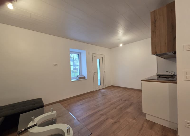 Moderne renoviertes Studio in Haute-Sorne – sofort verfügbar (3)