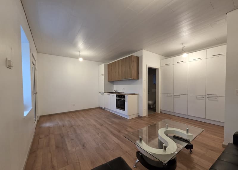 Moderne renoviertes Studio in Haute-Sorne – sofort verfügbar (1)