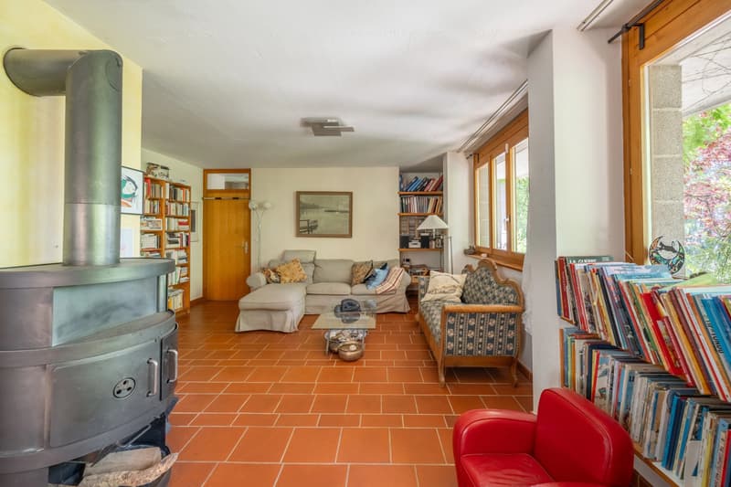 Architettura singolare e vista panoramica sul Lago di Ginevra. (7)