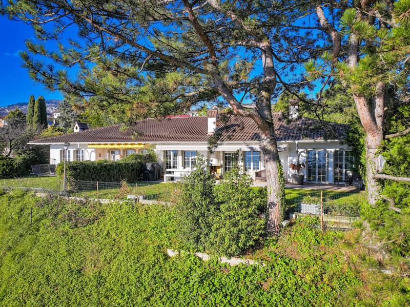 Villa eccezionale con vista panoramica sul Lago di Ginevra e le Alpi a Vevey (1)