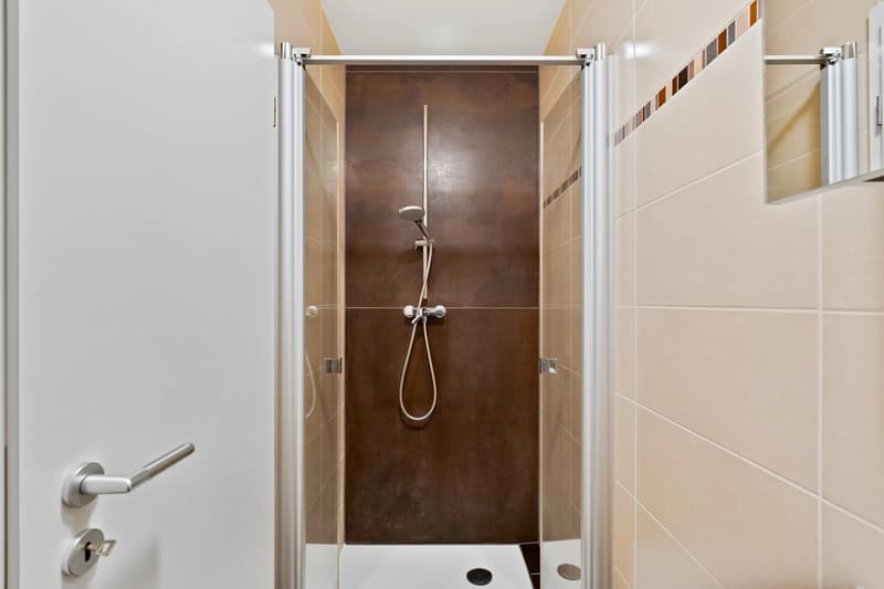 4.5-Room Apartment with Lake Views in Yens (10)