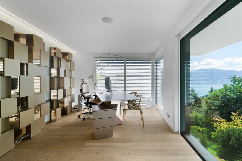 Exceptional Contemporary Villa with Panoramic Views over Lake Geneva and the Alps (10)