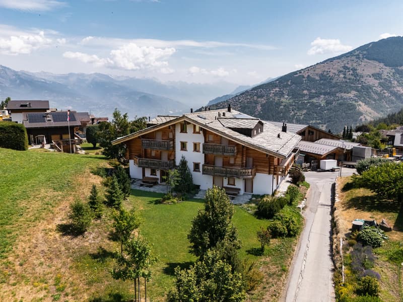 Appartamento elegante di 3,5 locali con balcone nel cuore di Nendaz (10)