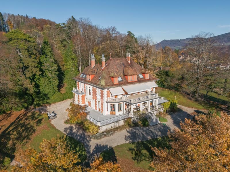 Prestigious Villa in the Heart of The Lavaux (2)