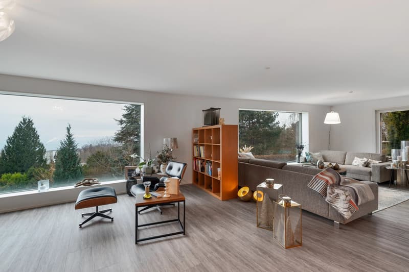Modern property with swimming pool and unobstructed lake views (4)
