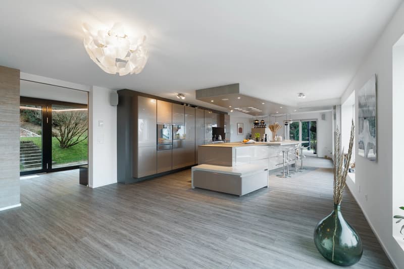 Modern property with swimming pool and unobstructed lake views (3)