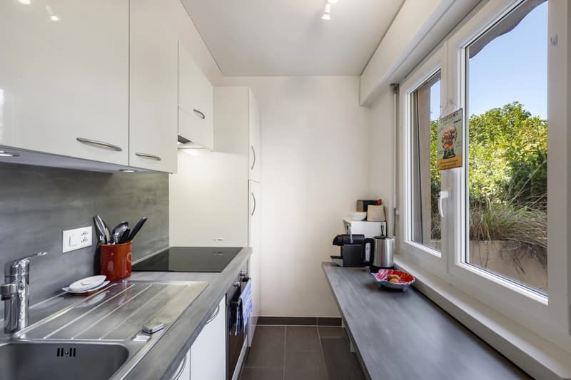 Bel appartement avec terrasse à Pully (3)