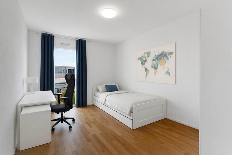 Contemporary 4.5-Room Penthouse Apartment Close to the Lake (7)