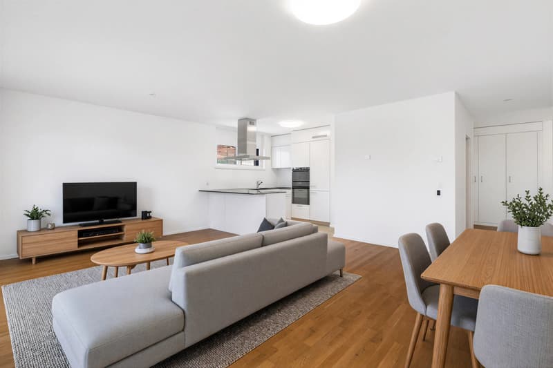 Contemporary 4.5-Room Penthouse Apartment Close to the Lake (1)