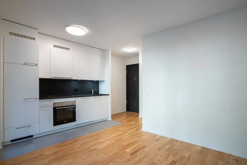 Brand-New Studio with Spacious Terrace in Prilly/Malley (4)