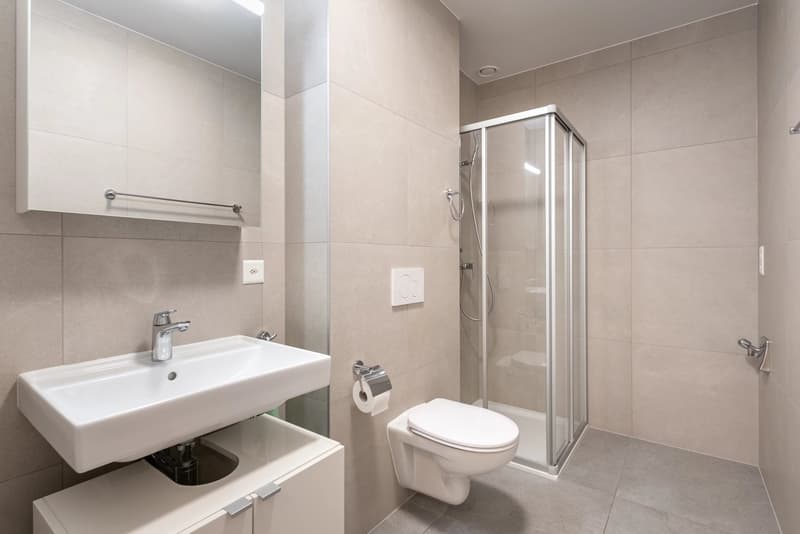 Brand-New Studio with Spacious Terrace in Prilly/Malley (2)