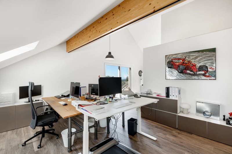 Bright Office with South-Facing Balcony and Lake Views (7)