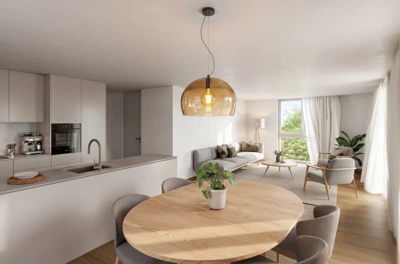 L'Orée du Rogin, 6 appartements Minergie de 4.5 pièces (3)