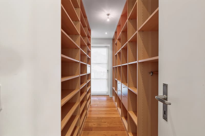 Character Property with Remarkable Volumes Just Steps from the Lake (7)