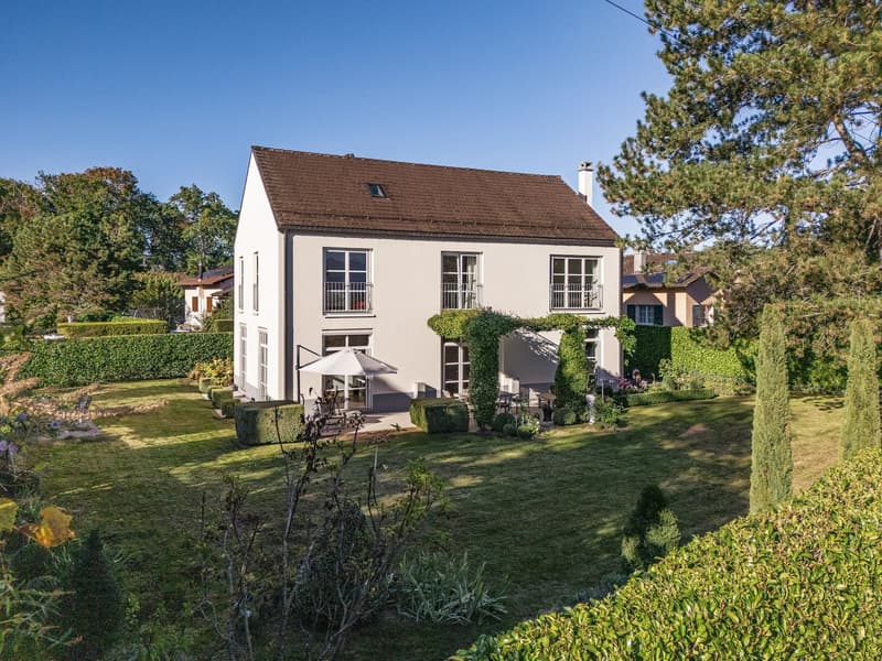 Character Property with Remarkable Volumes Just Steps from the Lake (11)