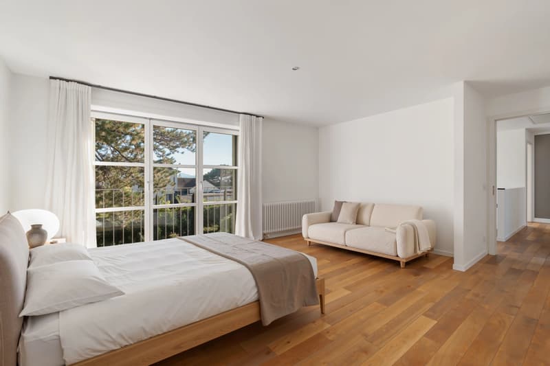 Character Property with Remarkable Volumes Just Steps from the Lake (6)