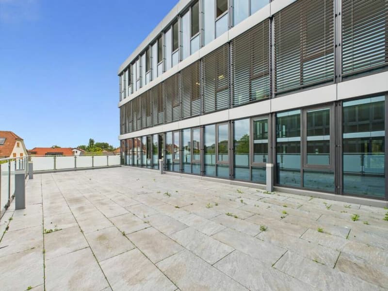 Ufficio rappresentativo con 9 stanze e molta luce del giorno (9)