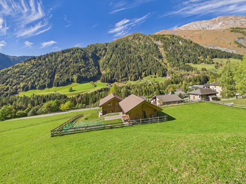 Chalet Ghirone (1)