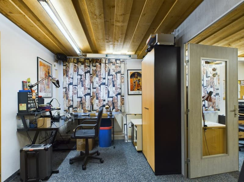 Espace commercial avec sauna et espace extérieur - idéal pour des concepts créatifs (15)