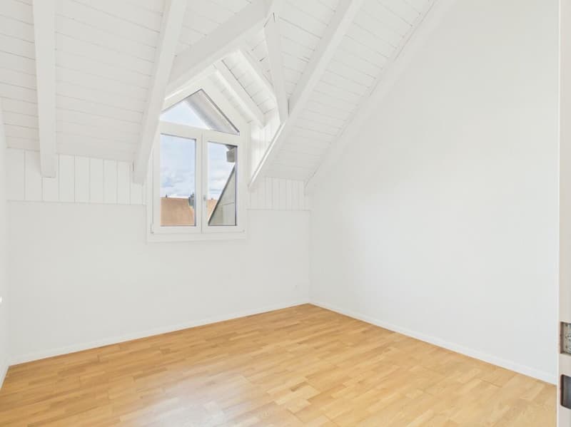 Appartamento maisonnette da sogno a Lupfig con ristrutturazione moderna (8)