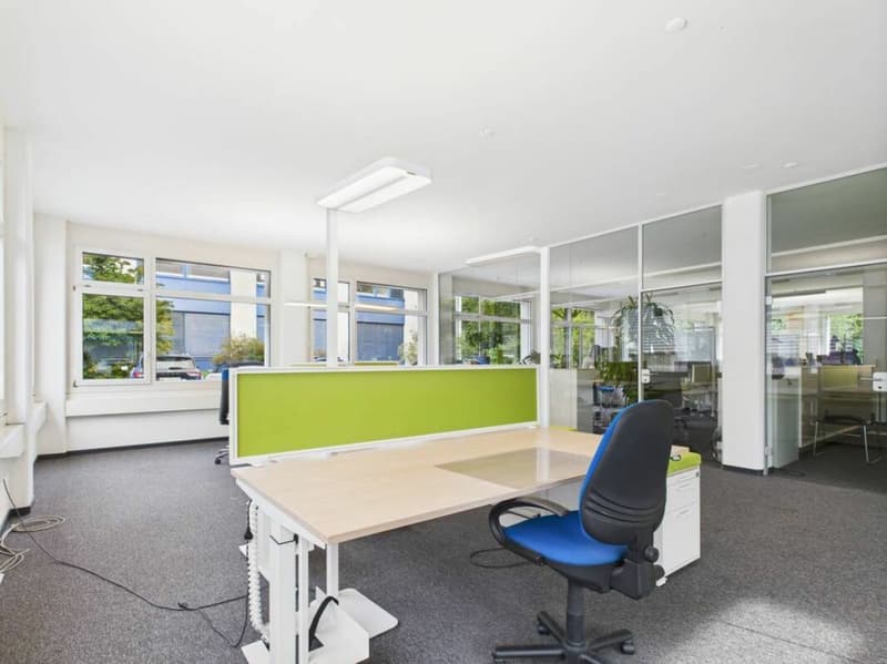 Bright and completely furnished office (4)