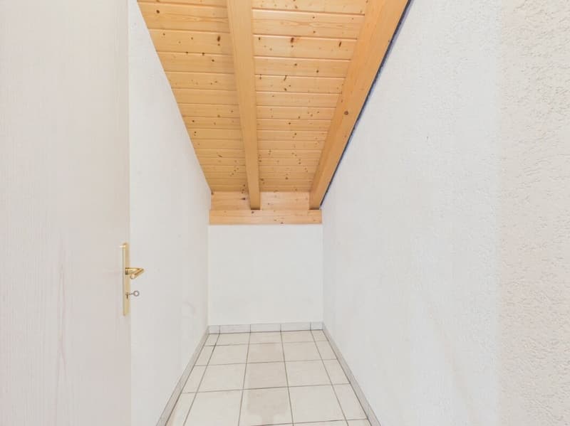 Charming 2.5-room apartment with a great view (13)