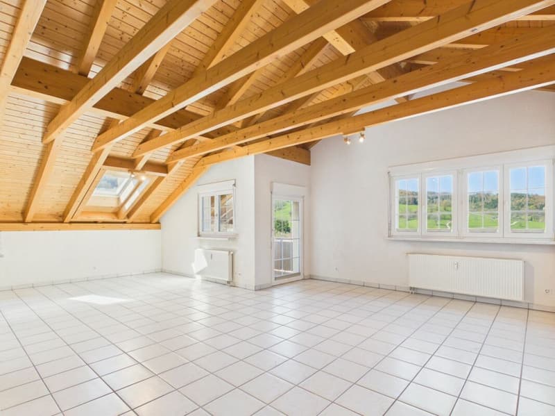 Charming 2.5-room apartment with a great view (1)