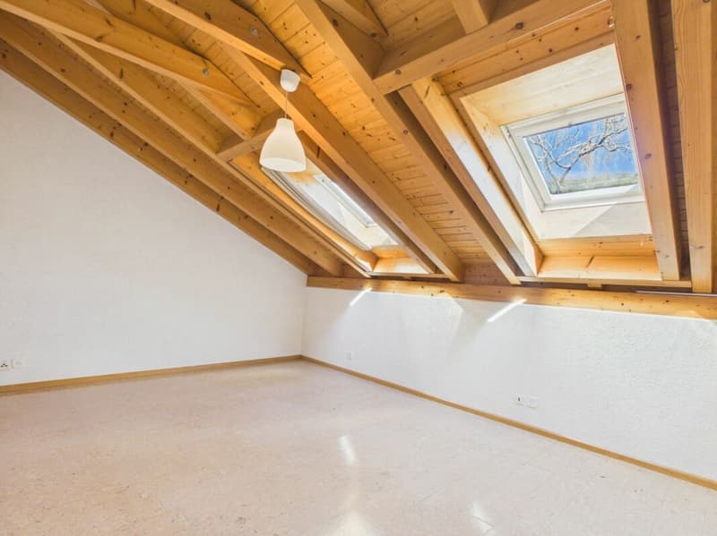 Charming 2.5-room apartment with a great view (9)