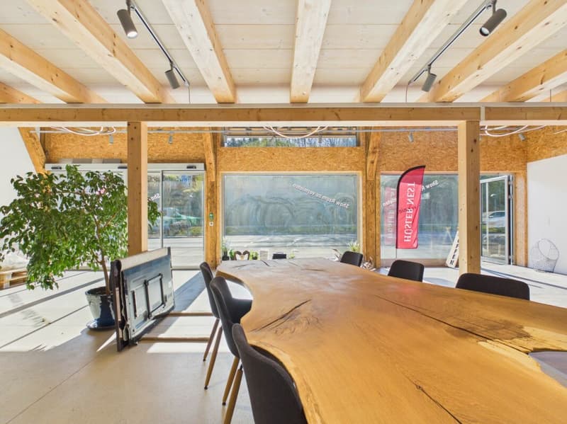 Charming retail space with historic flair in Uitikon Waldegg (14)