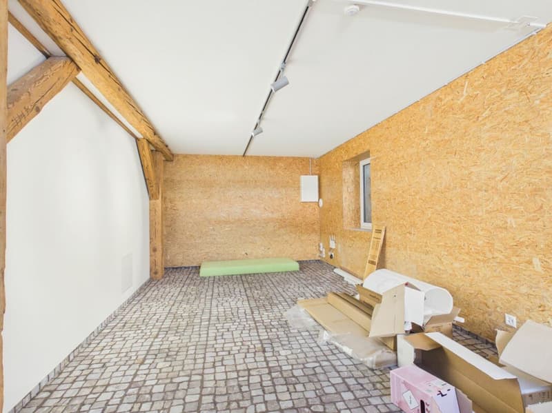 Charming retail space with historic flair in Uitikon Waldegg (12)