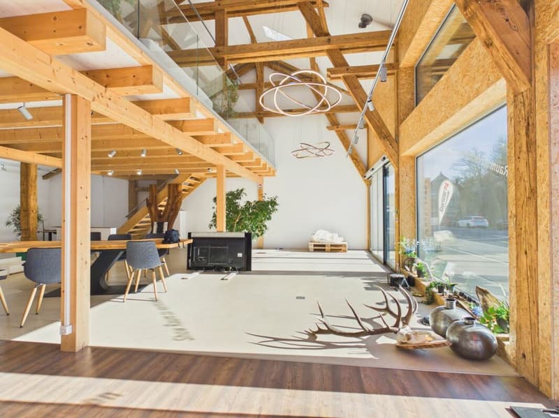 Charming retail space with historic flair in Uitikon Waldegg (4)