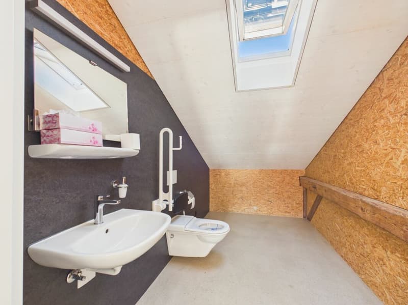 Charming retail space with historic flair in Uitikon Waldegg (9)