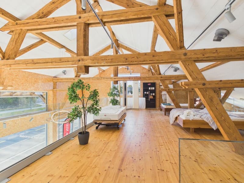 Charming retail space with historic flair in Uitikon Waldegg (11)