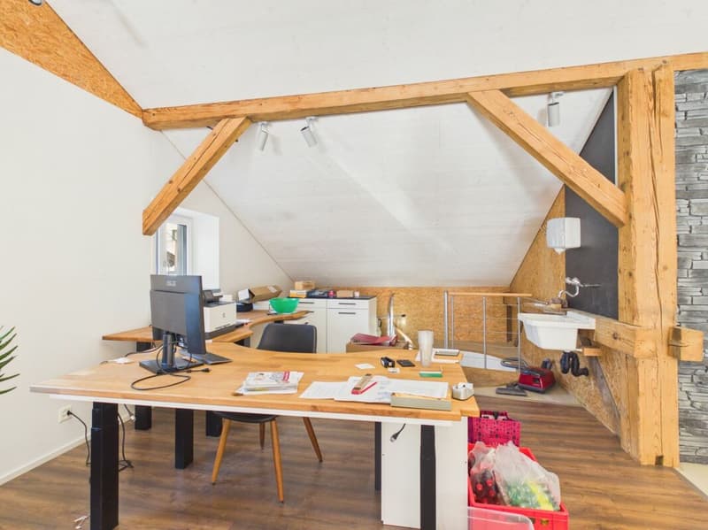 Charming retail space with historic flair in Uitikon Waldegg (8)