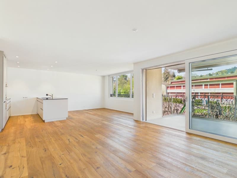 Spacious 4.5-room apartment with balcony and garage in Menziken (2)