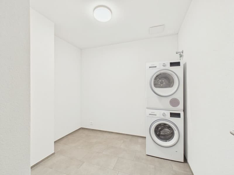 Spacious 4.5-room apartment with balcony and garage in Menziken (5)