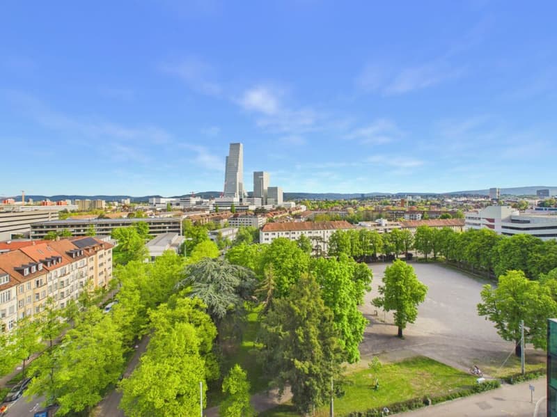 Vivere con stile sopra i tetti di Basilea - Appartamento 3.5 locali moderno con vista panoramica (13)