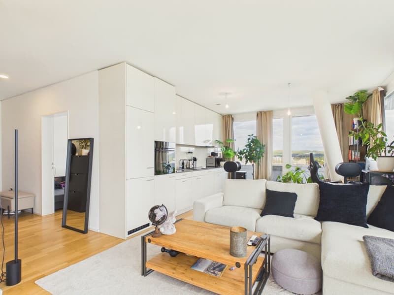 Vivere con stile sopra i tetti di Basilea - Appartamento 3.5 locali moderno con vista panoramica (3)