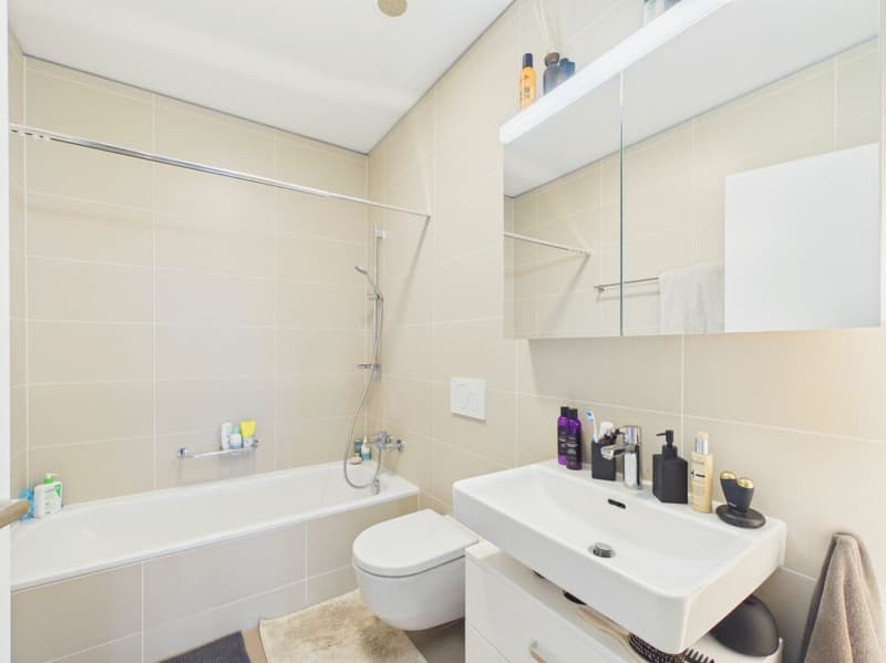 Vivere con stile sopra i tetti di Basilea - Appartamento 3.5 locali moderno con vista panoramica (10)