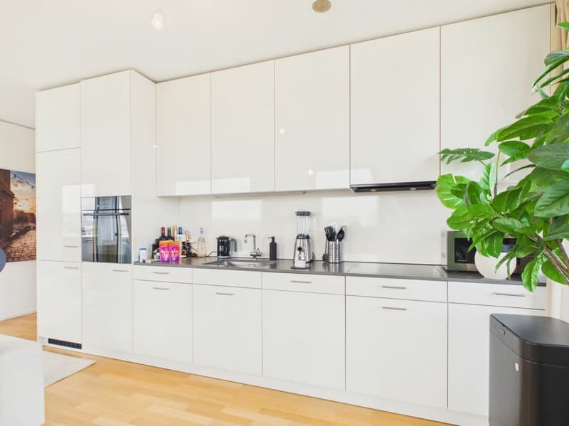 Vivere con stile sopra i tetti di Basilea - Appartamento 3.5 locali moderno con vista panoramica (4)