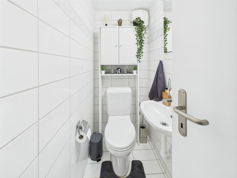 Cozy 3.5-room apartment with garden (11)