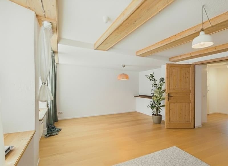 Charming farmhouse in the village center (3)