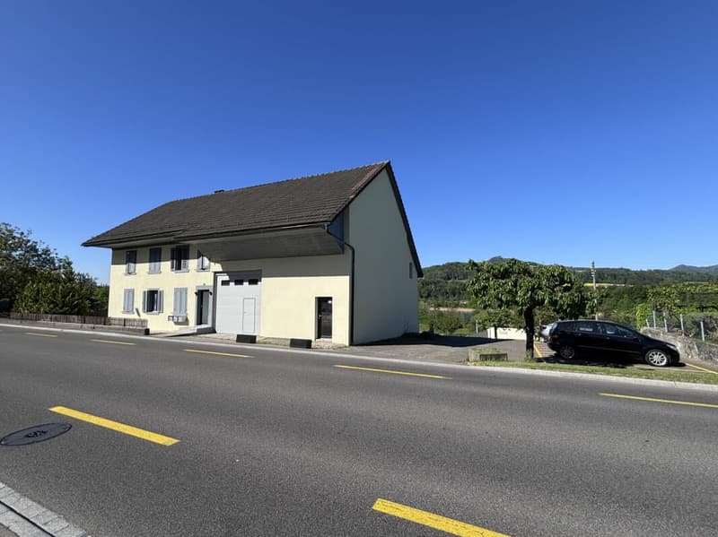 Top Opportunity! Completely Renovated Multi-Family House with Building Land Reserve (4)