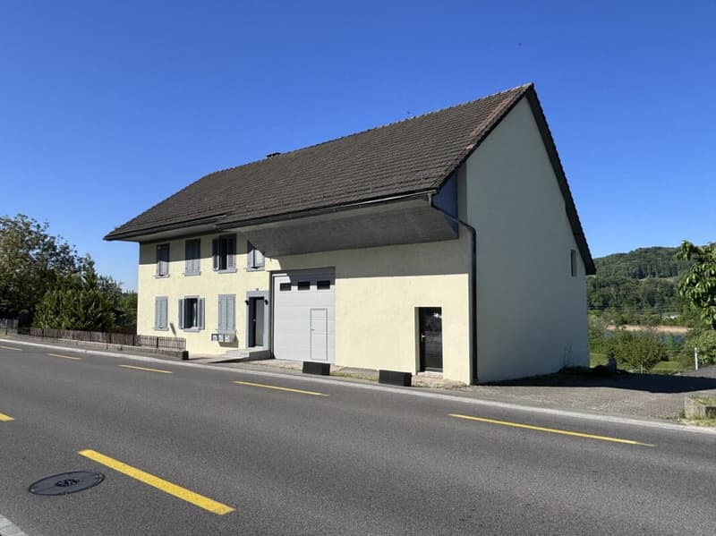 Top Opportunity! Completely Renovated Multi-Family House with Building Land Reserve (3)